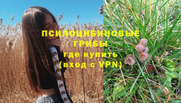 Альфа ПВП Абаза