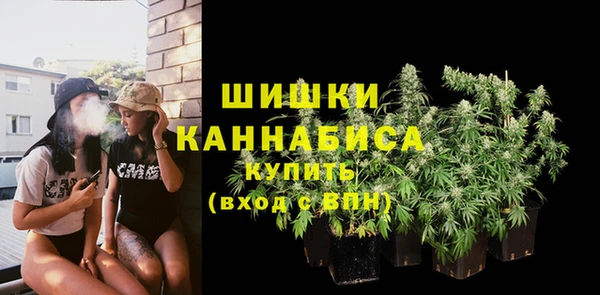 тгк Новозыбков