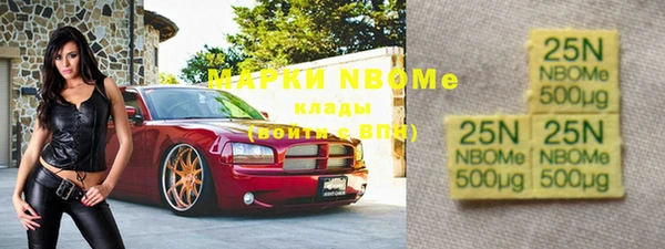 тгк Новозыбков