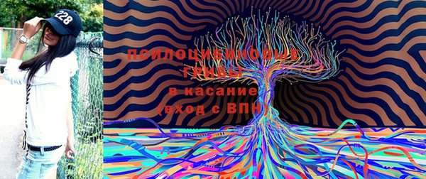 мескалин Алексин
