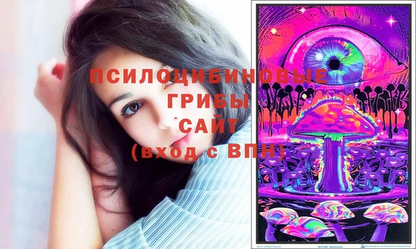мескалин Алексин