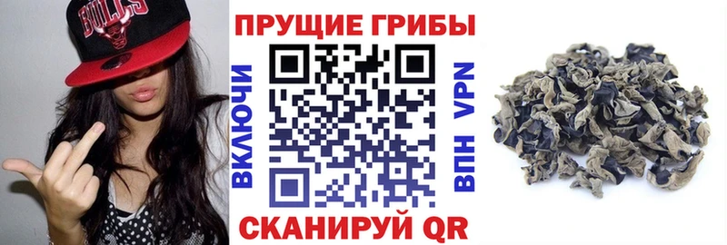 Галлюциногенные грибы мухоморы Ирбит